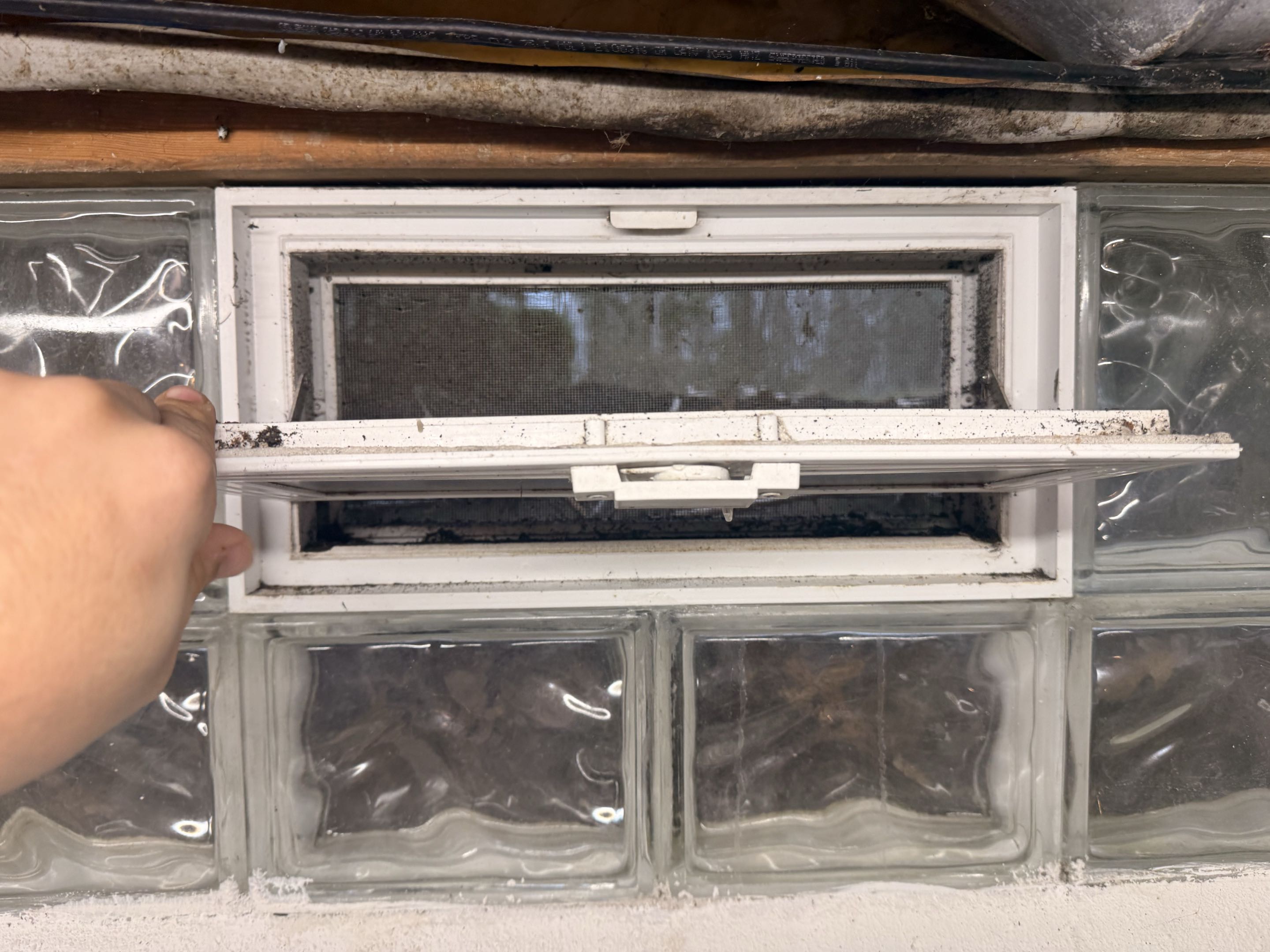 Basement Window